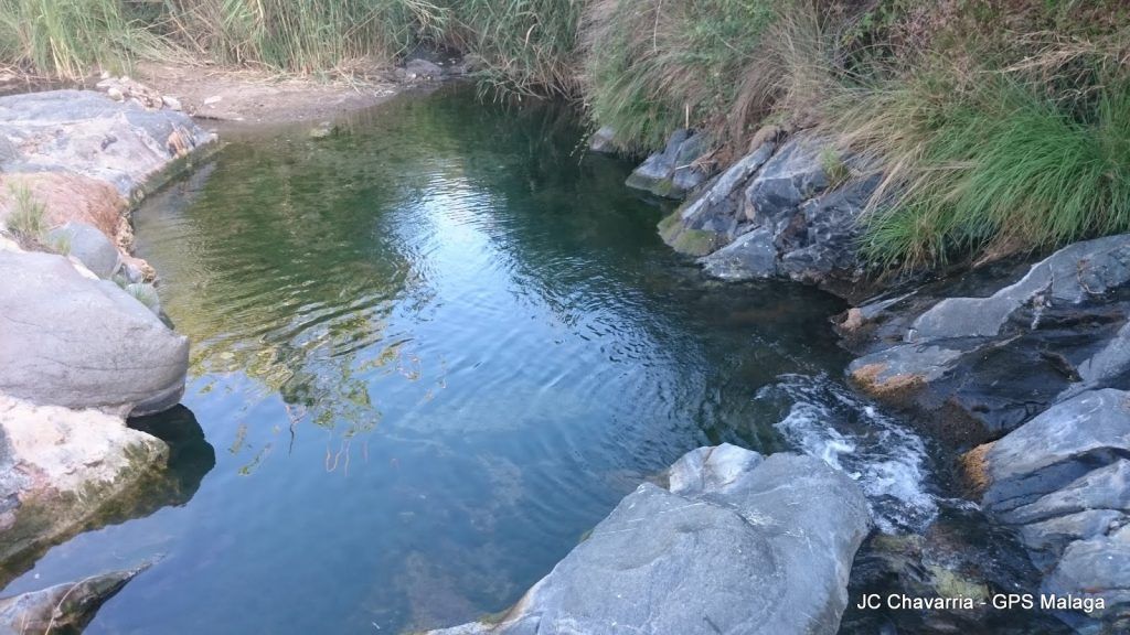 Poza de los huevos natural pool