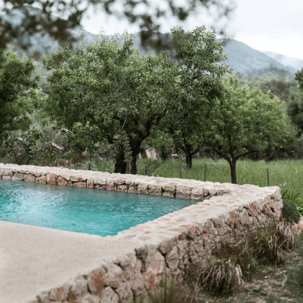 rustic pool design