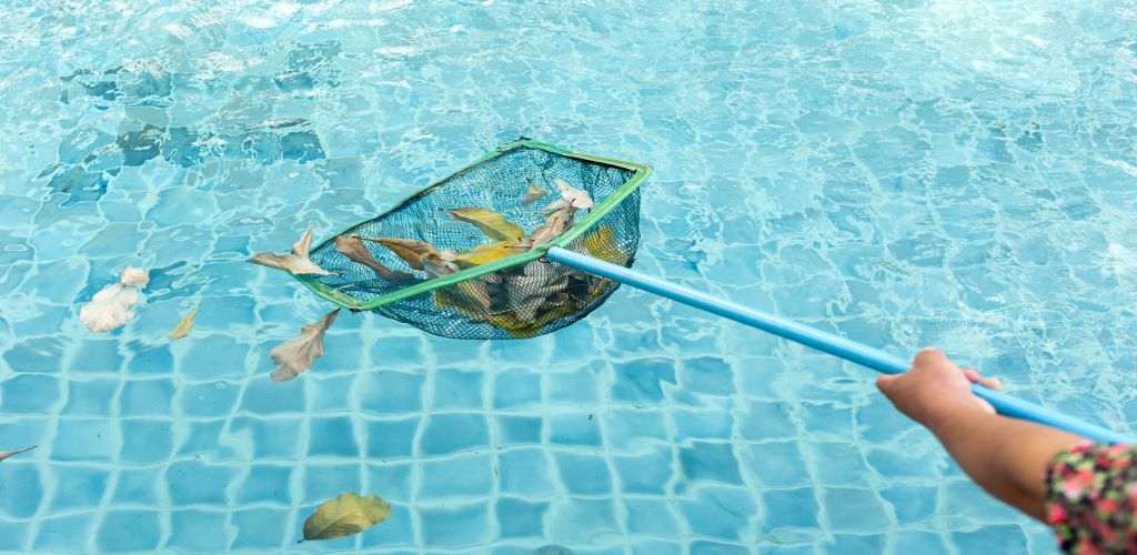 pool cleaning