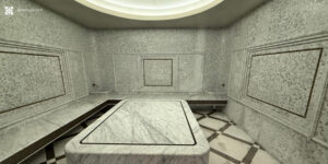 proyecto-wellness-zem-13