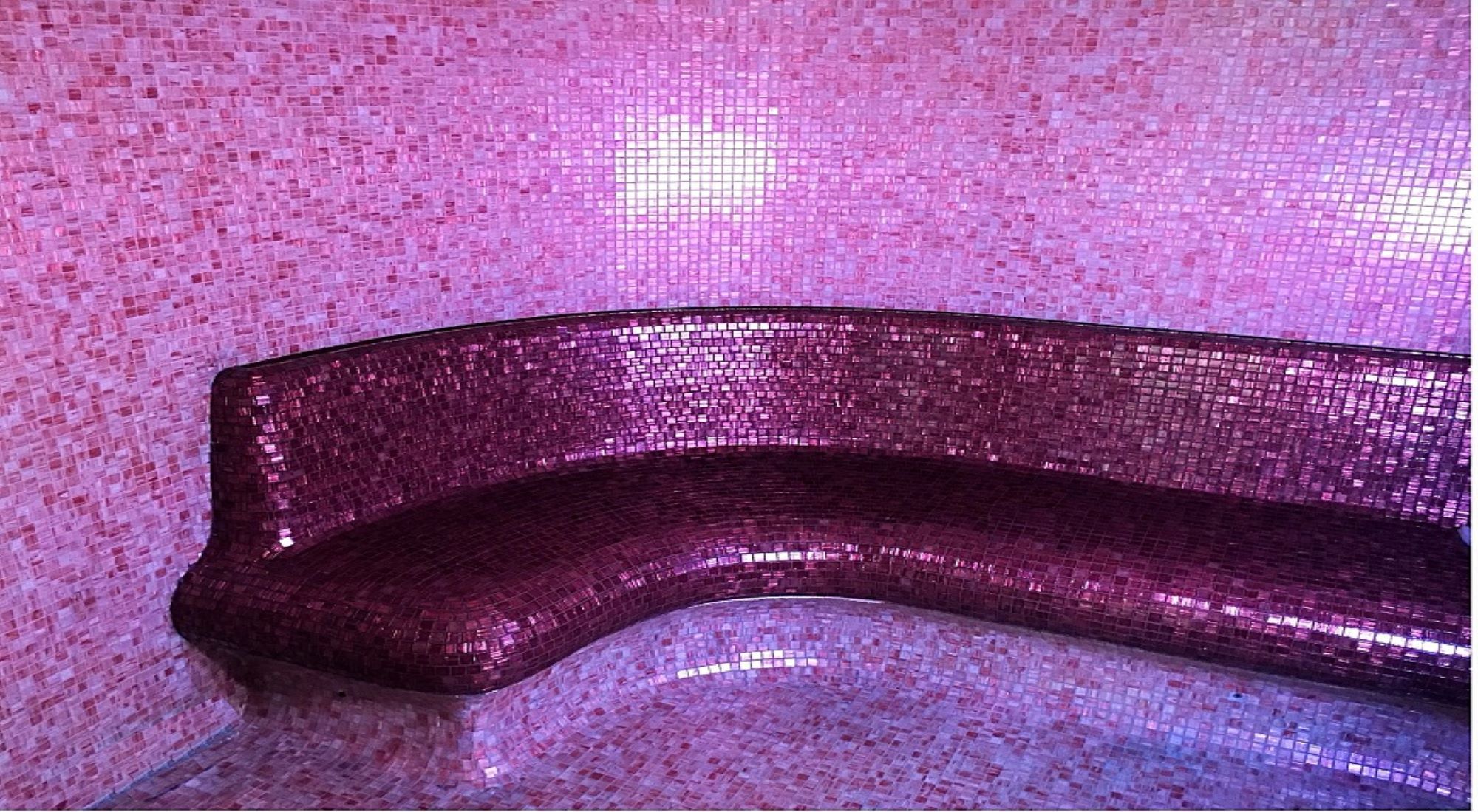 proyecto spa